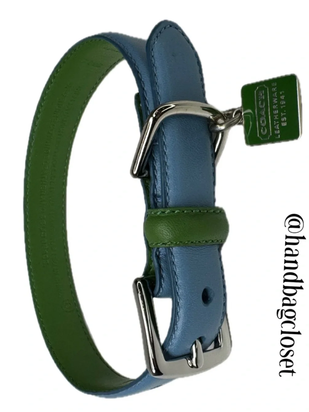 Coach Green Blue  Leather Vintage Y2 K ID Tag Size S Small 11-13” Dog Collar